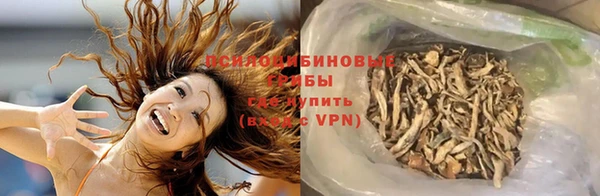 сатива Осинники