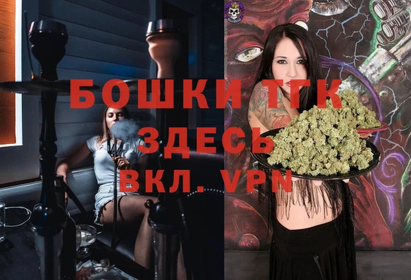 сатива Осинники