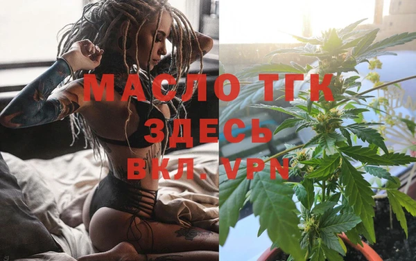 сатива Осинники