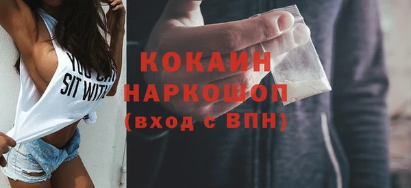 сатива Осинники