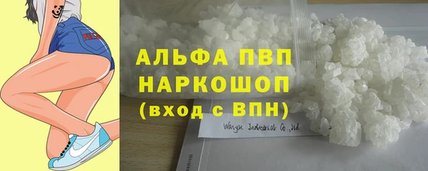 сатива Осинники