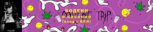 тгк Осташков