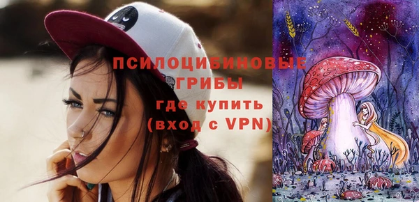 сатива Осинники