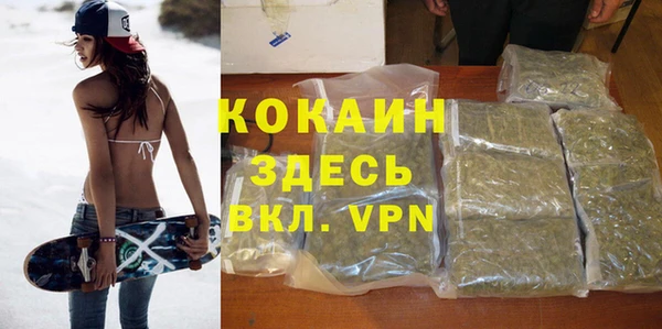 сатива Осинники