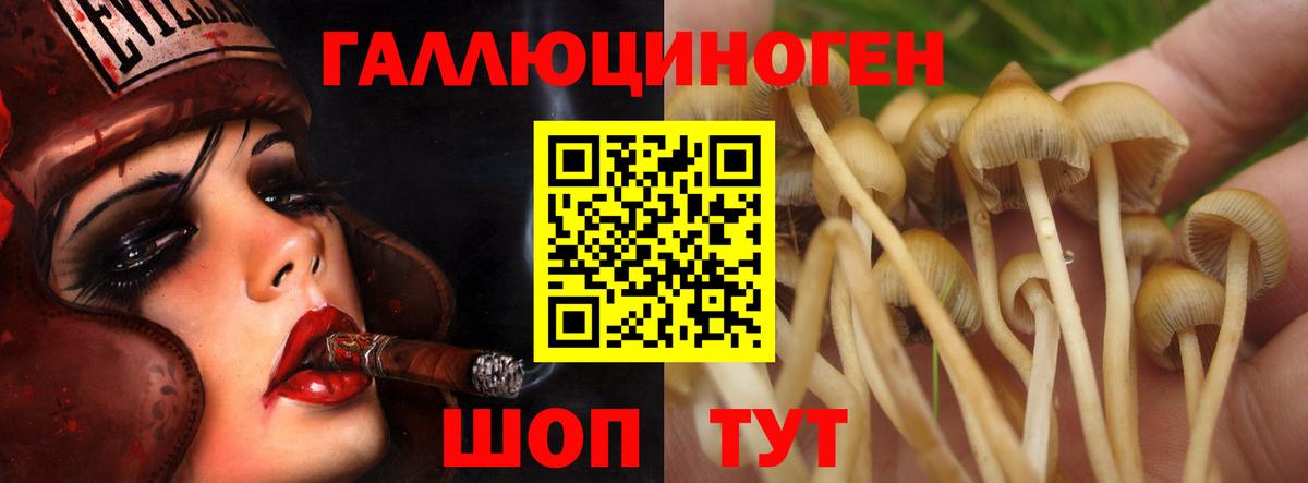 Мефедрон кристаллы  Марихуана  Кокаин  MDMA  МЕТ  Alpha PVP СК   Рославль  Гашиш  ЭКСТАЗИ  ГАШ  Вход с VPN 